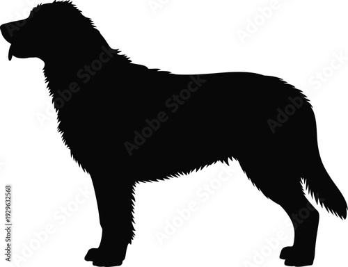 Black silhouette of a dog standing on white background