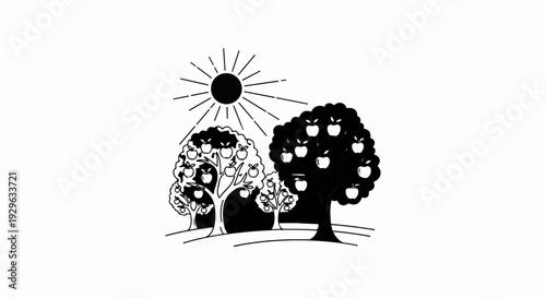 Sun shines on a trio of apple trees heavy with fruit