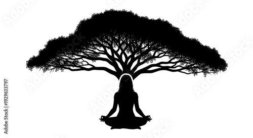 Woman Meditating Under Silhouetted Tree Branches.