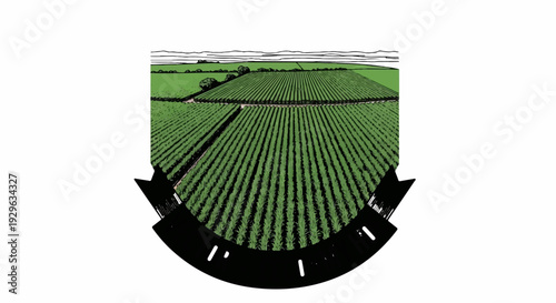 Expansive rows of green crops stretch across rolling hills under a bright sky