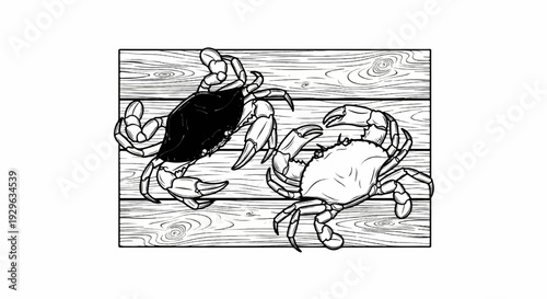 Two crabs, one black and one white, on a wooden surface