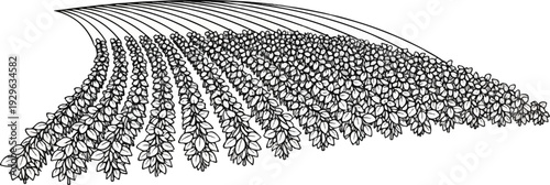 Stylized ink drawing of cascading branches with dense foliage