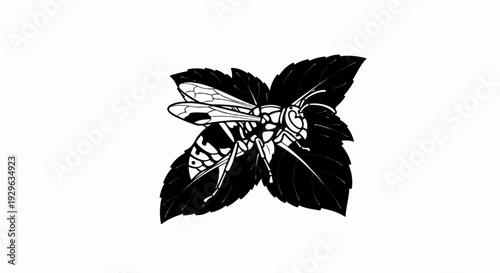 A black and white illustration of a wasp perched on dark leaves