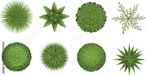 Top view vector set of green trees, plants, bushes, and shrubs for landscape design, architectural site plans, and garden maps.