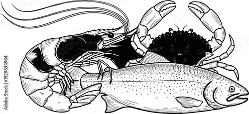 Detailed line art illustrates a salmon, prawn, and crab on a white background