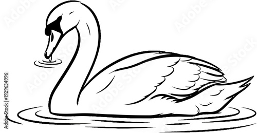 A graceful swan with a long neck glides on rippling water