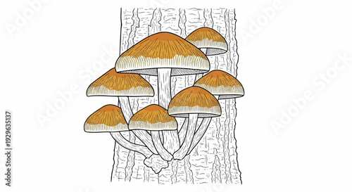 Cluster of brown-capped mushrooms with gills growing on a textured tree trunk