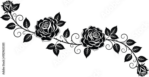 Elegant rose floral vine silhouette ornament with blooming flowers and decorative leaves forming botanical border design isolated on white background