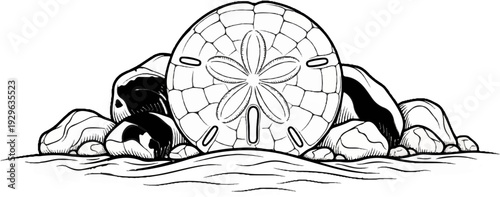 Sand dollar and rocks drawn in a sketchy style with black and white shading