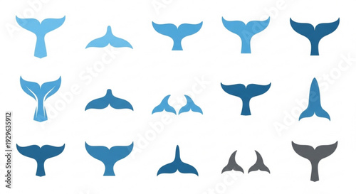 Various blue whale tails on white background ocean symbol set