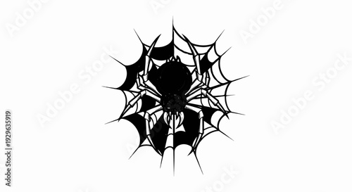 Detailed illustration of a large black spider with multiple legs on a white web background