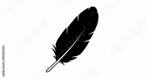 A black quill pen with detailed shaft and feathery barbules on a white background