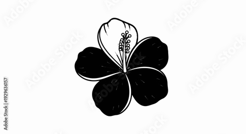 A striking black and white illustration of a hibiscus flower against a plain white background