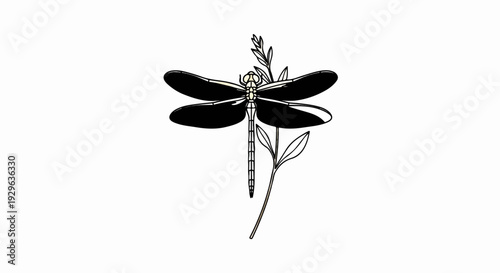 Stylized black and cream dragonfly perched on a delicate plant stem with leaves