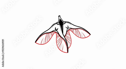 Stylized drawing of a flower with three petals outlined in red