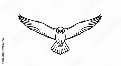 Stylized black outline drawing of a raptor bird in full flight, wings spread wide