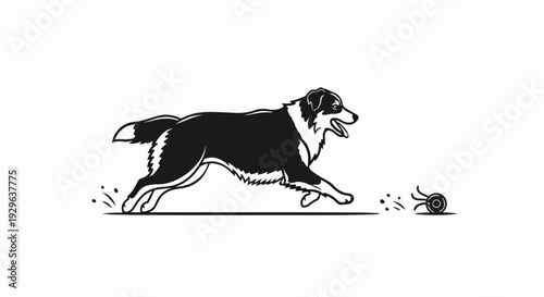 Energetic dog in mid-stride, chasing a circular object with trailing lines