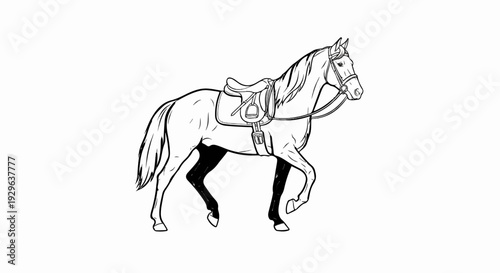 Line art of a saddled horse walking to the right, with dark stockings