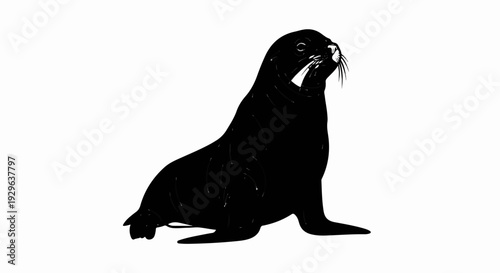 Black silhouette of a sea lion on a white background