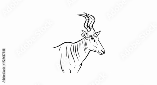 Sketch of a horned animal with flowing lines and curved horns