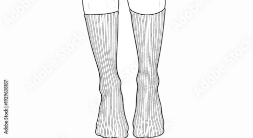 Detailed line drawing of two legs wearing ribbed, knee-high socks