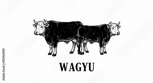 Two intricately drawn cattle, one larger than the other, stand side-by-side