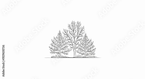 Black and white sketch of three evergreen trees with grass at their base