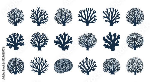 Set of 20 Coral Reef Silhouettes Vector Icons