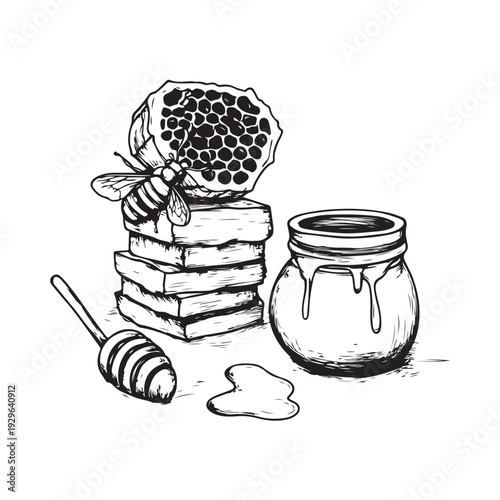Vintage honey jar with dipper and honeycomb, still life, hand drawn style, graphic art