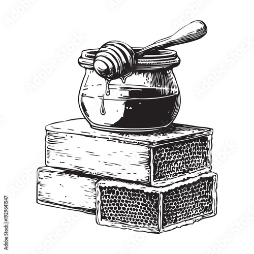 Vintage honey jar with dipper and honeycomb, still life, hand drawn style, graphic art