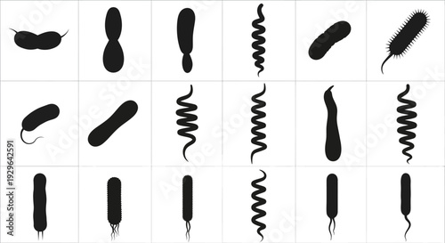 Set of 18 black bacteria and virus cell icons vector