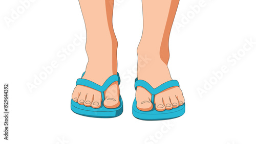 Human feet wearing comfortable blue flip-flops are depicted from a front view on a clean white background suggesting casual summer style.