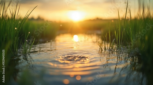 Golden hour sunset casting warm light over tranquil waterways reflecting natures peaceful ambiance