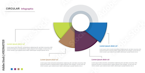 Modern circular infographic vector template with colorful segmented shapes and clean layout. Minimal presentation design ideal for business reports, data visualization, workflow, and marketing 