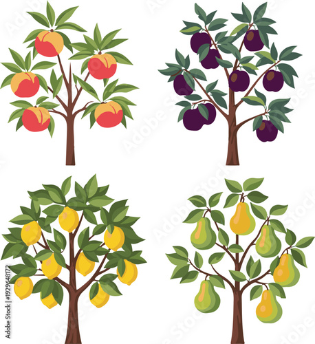 Set of Fruit Trees Illustration with Peach, Plum, Lemon, and Pear Isolated on White Background