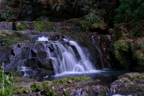 small waterfall in the forest