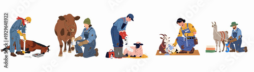 Veterinarians and farmers caring for a diverse range of farm animals including horses, cows, sheep, goats, and llamas, showcasing dedicated animal welfare and agricultural work.