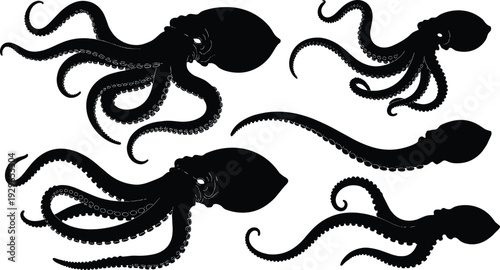 Black octopus silhouettes on white background tentacles sea creature