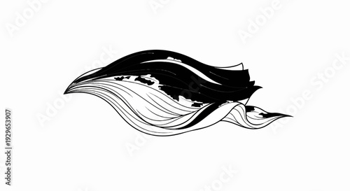 Abstract black and white flowing lines suggesting movement and depth