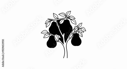Stylized black and white illustration of a pear tree with fruit