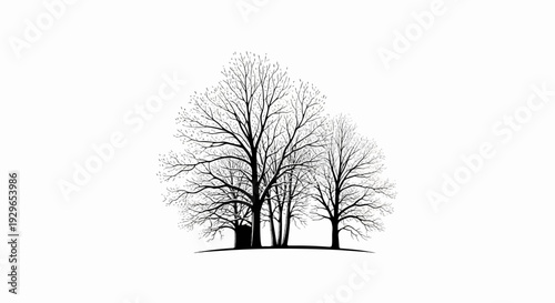 Minimalist illustration of a cluster of bare trees with a small dark structure