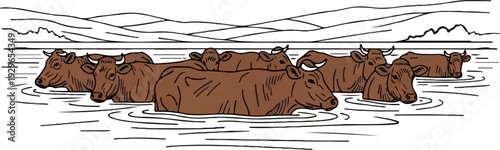 A herd of brown cattle wading through calm water with rolling hills in the background