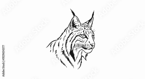 Stylized sketch of a lynx's head facing right, with characteristic tufted ears