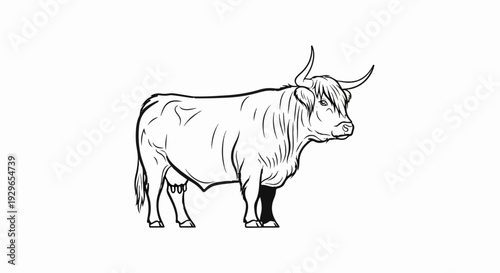 Line art of a Highland cow with long horns and shaggy hair