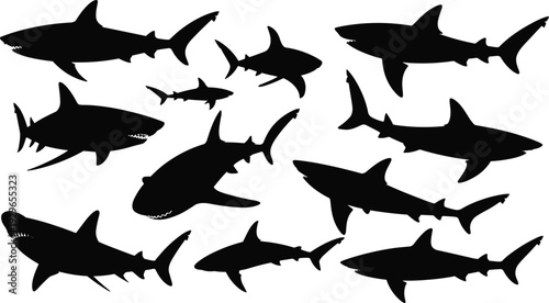Shark silhouettes collection illustration, marine predator animals set, ocean wildlife black icons bundle, sea life vector design, underwater species graphic
