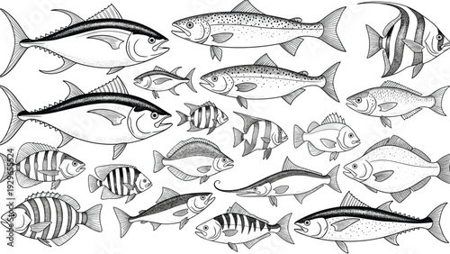 Seamless background pattern featuring a wide variety of detailed black and white sketches of different fish species.