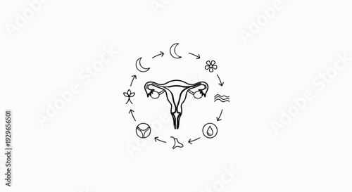 Uterus with symbolic cycle of life elements moon, flower, water, leaf, and seed
