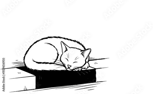 A black and white sketch of a domestic cat curled up asleep on a wooden surface