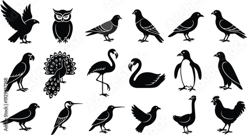Set of 13 bird icons vector