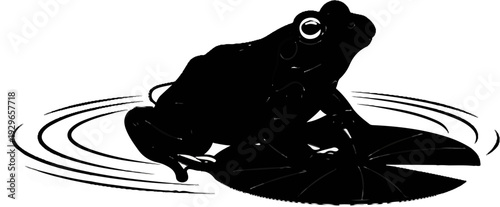 Silhouette of a frog perched on a lily pad in rippling water